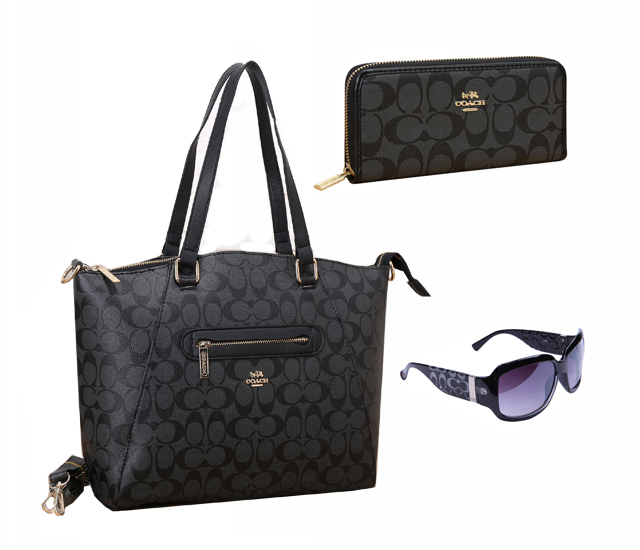 Coach Factory Outlet $119 Value Spree 17
