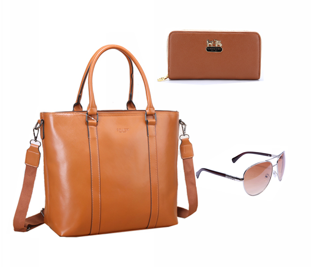 Coach Factory Outlet $119 Value Spree 26
