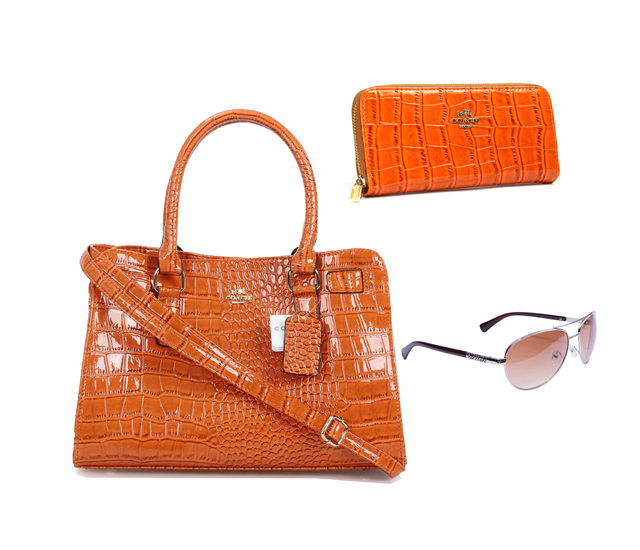 Coach Factory Outlet $119 Value Spree 27