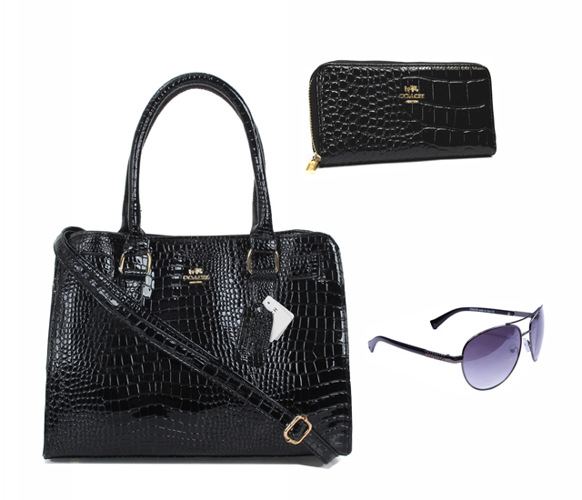 Coach Factory Outlet $119 Value Spree 29