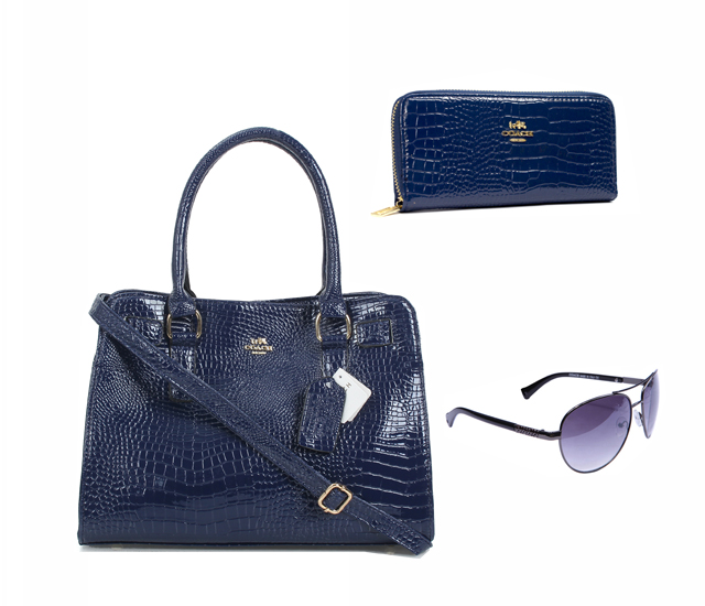 Coach Factory Outlet $119 Value Spree 30