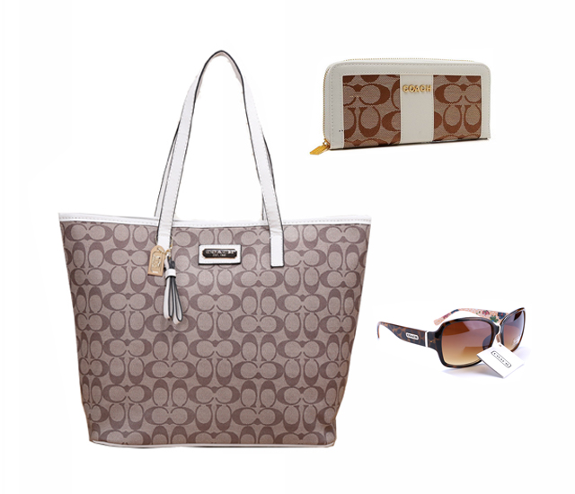 Coach Factory Outlet $119 Value Spree 33