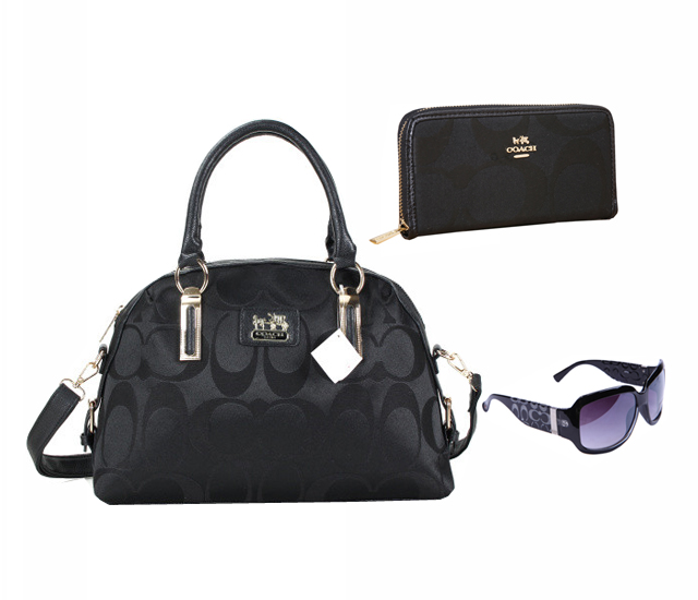 Coach Factory Outlet $119 Value Spree 4