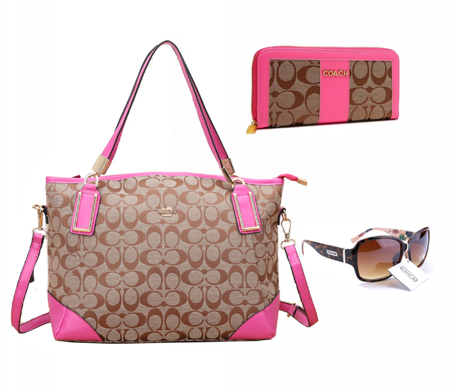 Coach Factory Outlet $119 Value Spree 48