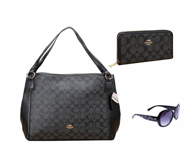 Coach Factory Outlet $119 Value Spree 50