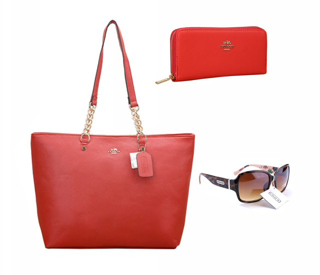 Coach Factory Outlet $119 Value Spree 52