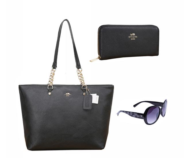 Coach Factory Outlet $119 Value Spree 53